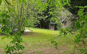 Vrijstaande Recreatievilla Met Ruime Omheinde Tuin
