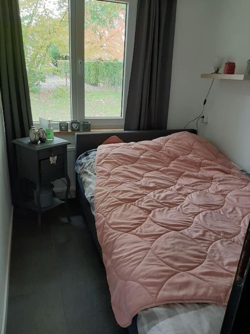 Vrijstaande Recreatievilla Met Ruime Omheinde Tuin Posterholt Exterior foto